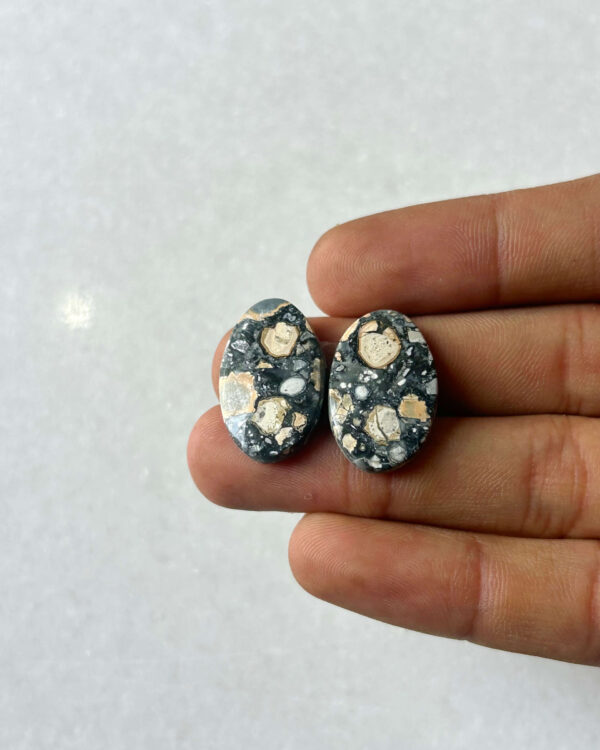 22mm Jasper Cabochon Pair – One of a Kind