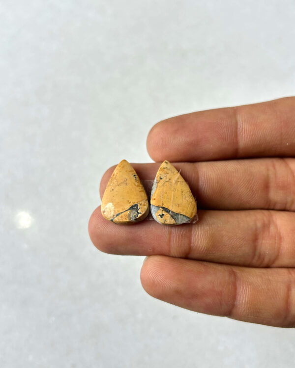 19mm Jasper Cabochon Pair – One of a Kind