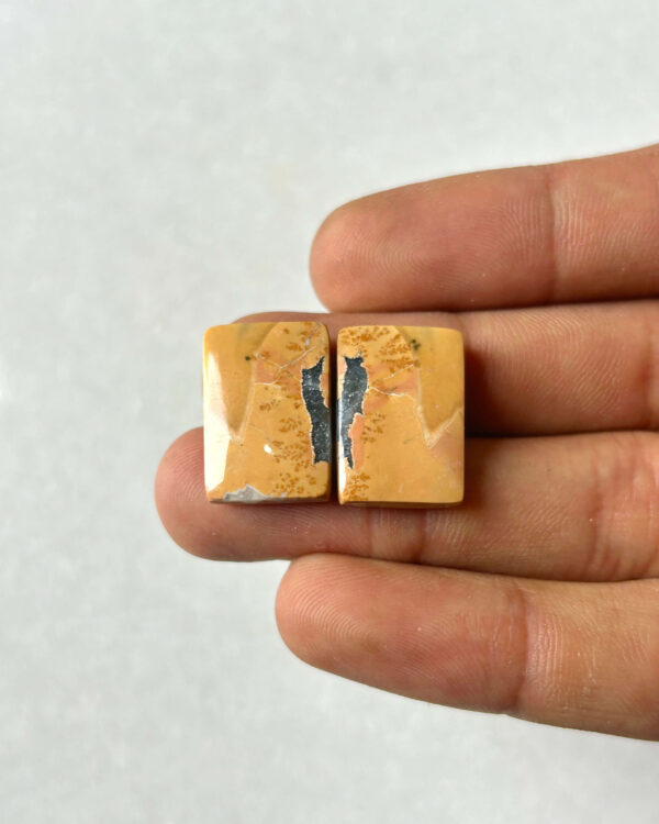 19mm Jasper Cabochon Pair – One of a Kind