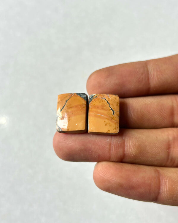 18mm Jasper Cabochon Pair – One of a Kind