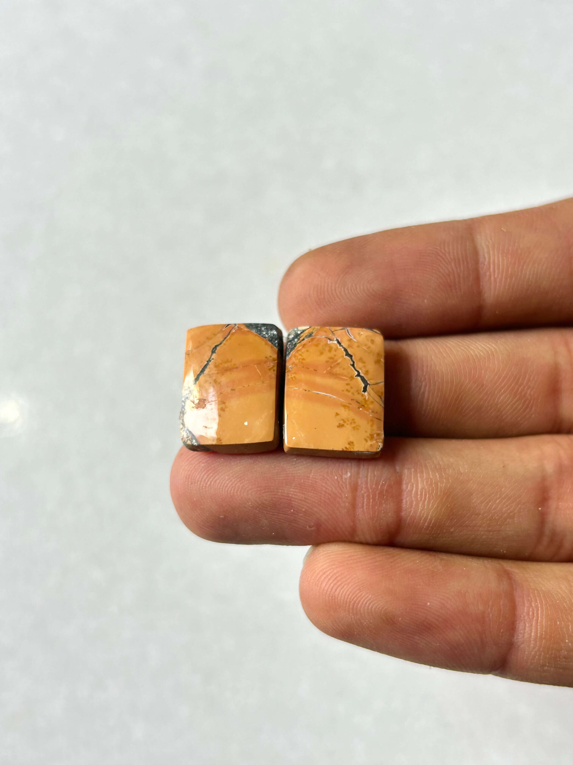 18mm Jasper Cabochon Pair – One of a Kind