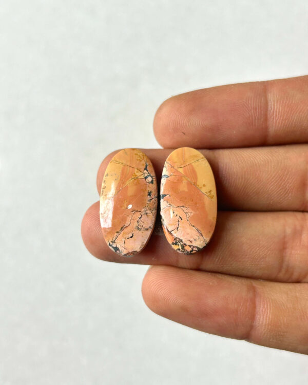 24mm Jasper Cabochon Pair – One of a Kind