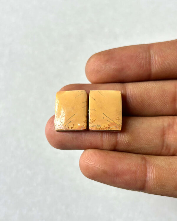 17mm Jasper Cabochon Pair – One of a Kind