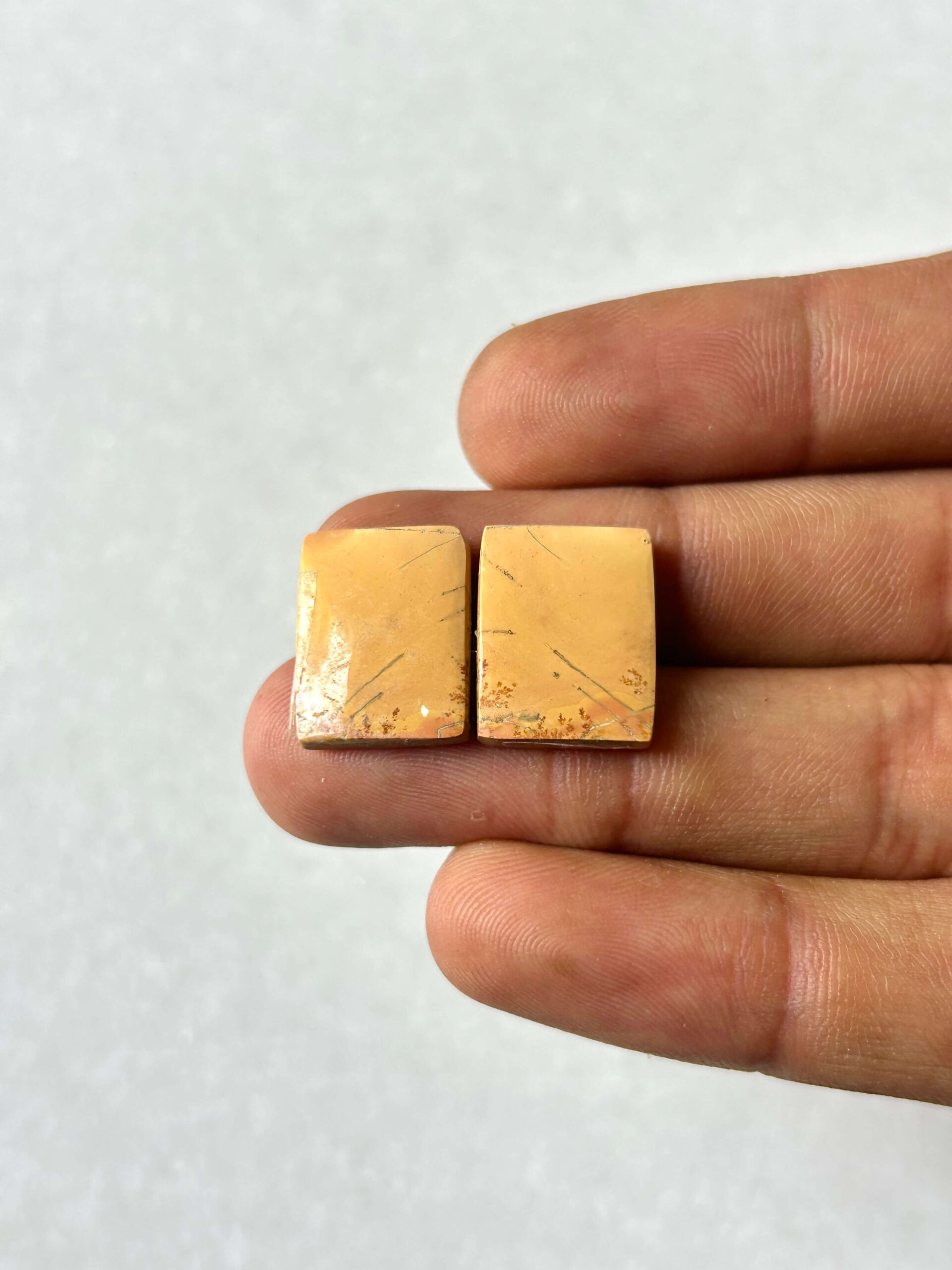 17mm Jasper Cabochon Pair – One of a Kind