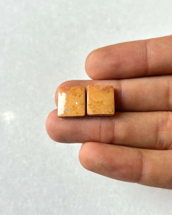 13mm Jasper Cabochon Pair – One of a Kind