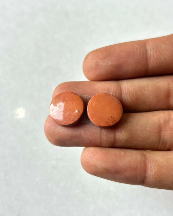 13mm Jasper Cabochon Pair – One of a Kind