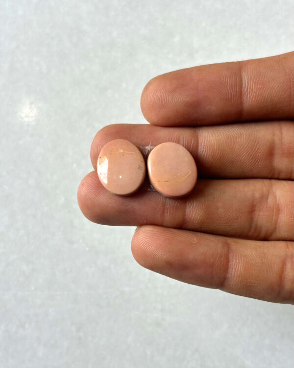 14mm Jasper Cabochon Pair – One of a Kind