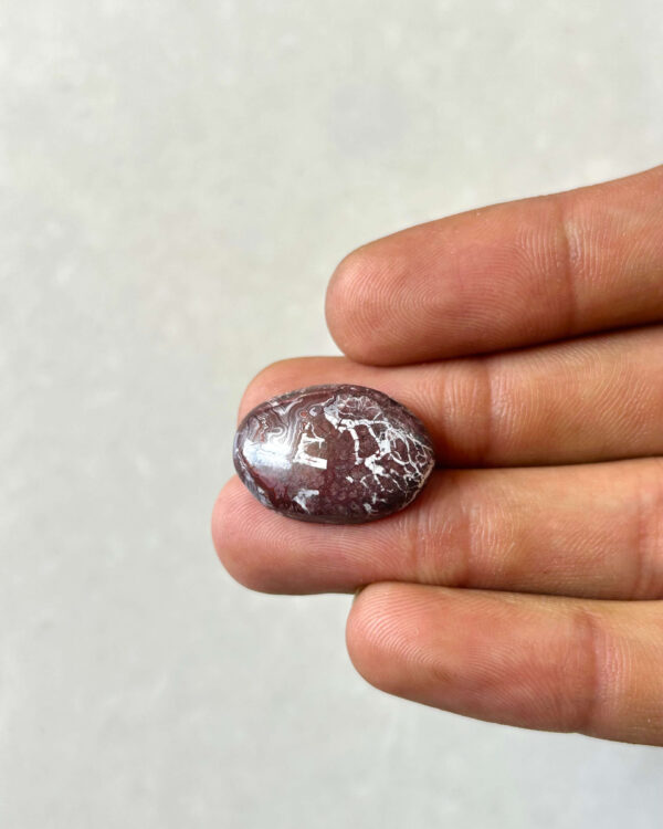 22mm Crazy Lace Agate Cabochon