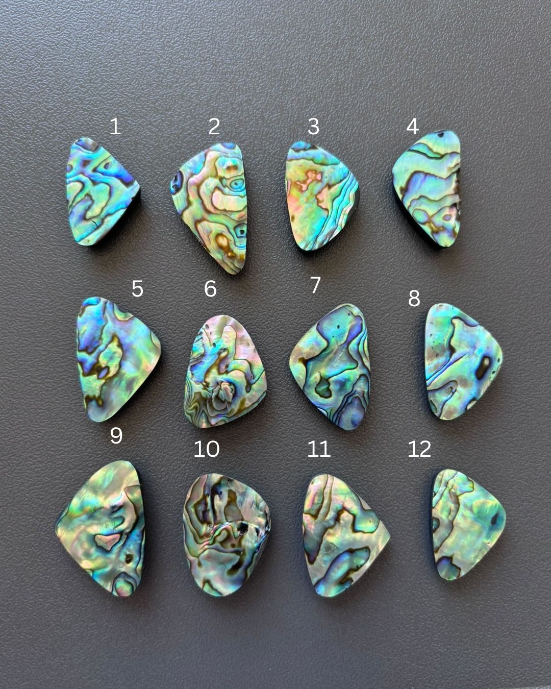 Natural Abalone Shell Oval Shape– Choose Your Piece - Image 2