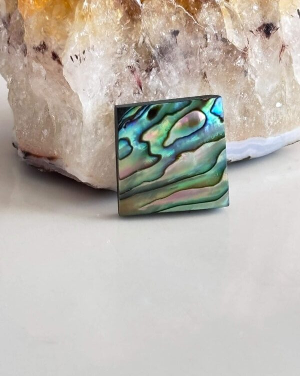 18mm Natural Abalone Shell Cabochon