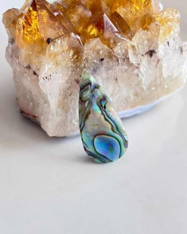 30mm Unique Abalone Shell Cabochon
