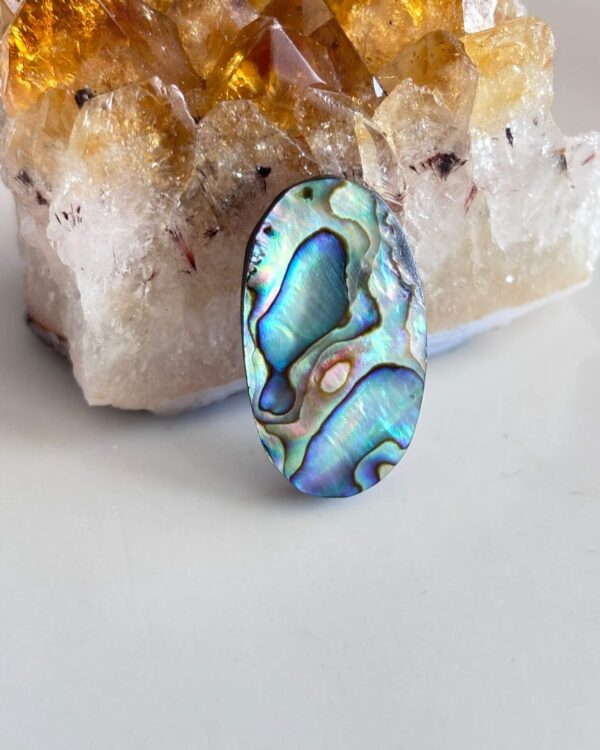 30mm Natural Abalone Cabochon for Jewelry