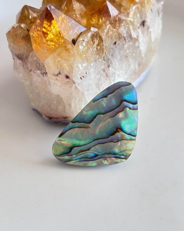 33mm Abalone Shell Cabochon – One of a Kind