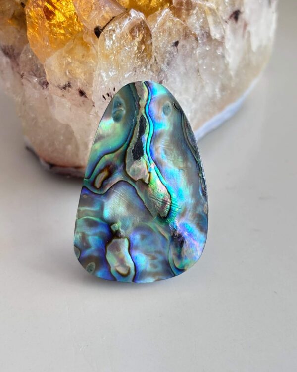 34mm Natural Abalone Shell Gemstone Cabochon