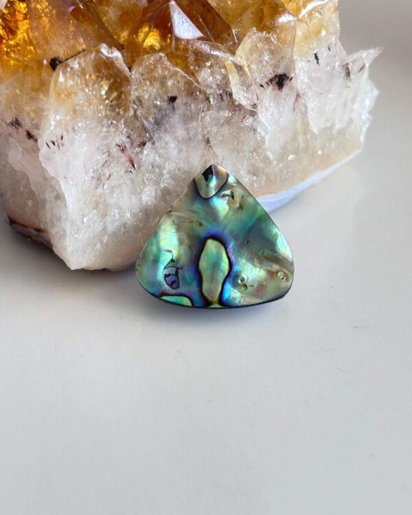 22mm Unique Abalone Shell Cabochon