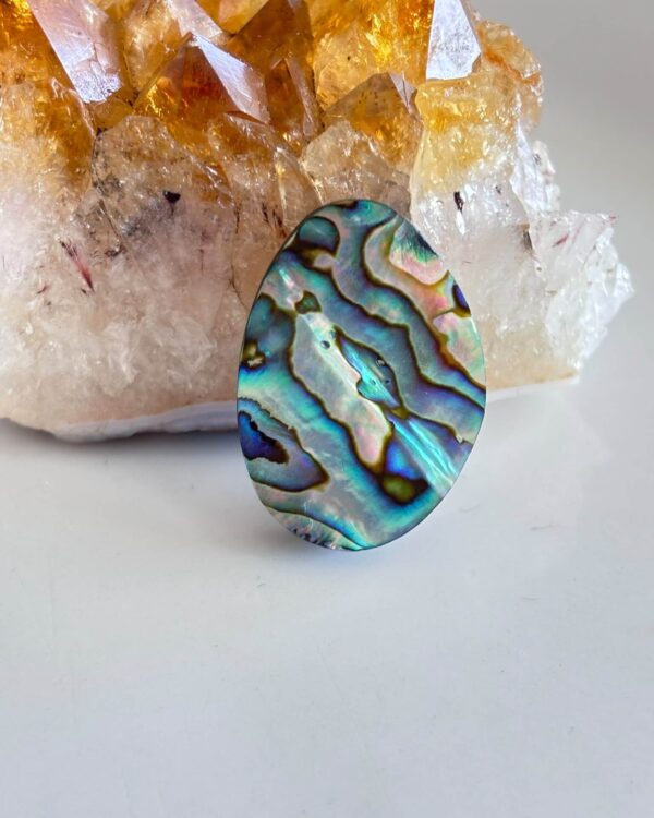 30mm Natural Abalone Shell Stone