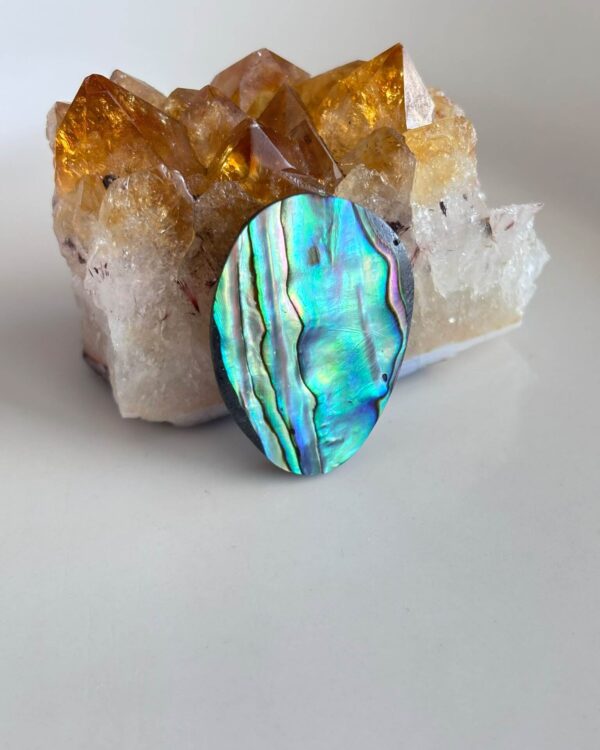 34mm Unique Abalone Shell Cabochon