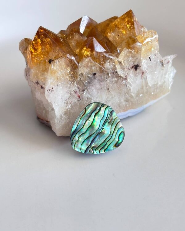 21mm Natural Abalone Cabochon for Jewelry