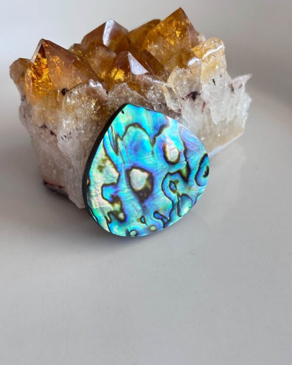 34mm Large Abalone Shell Cabochon