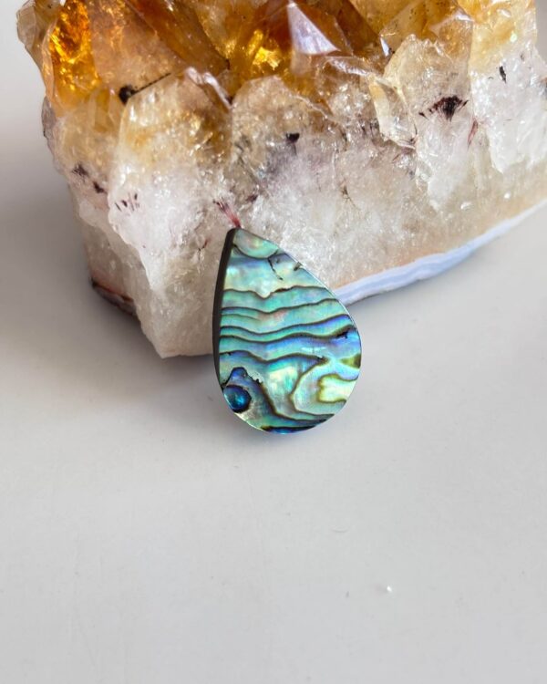 23mm Natural Abalone Shell Cabochon