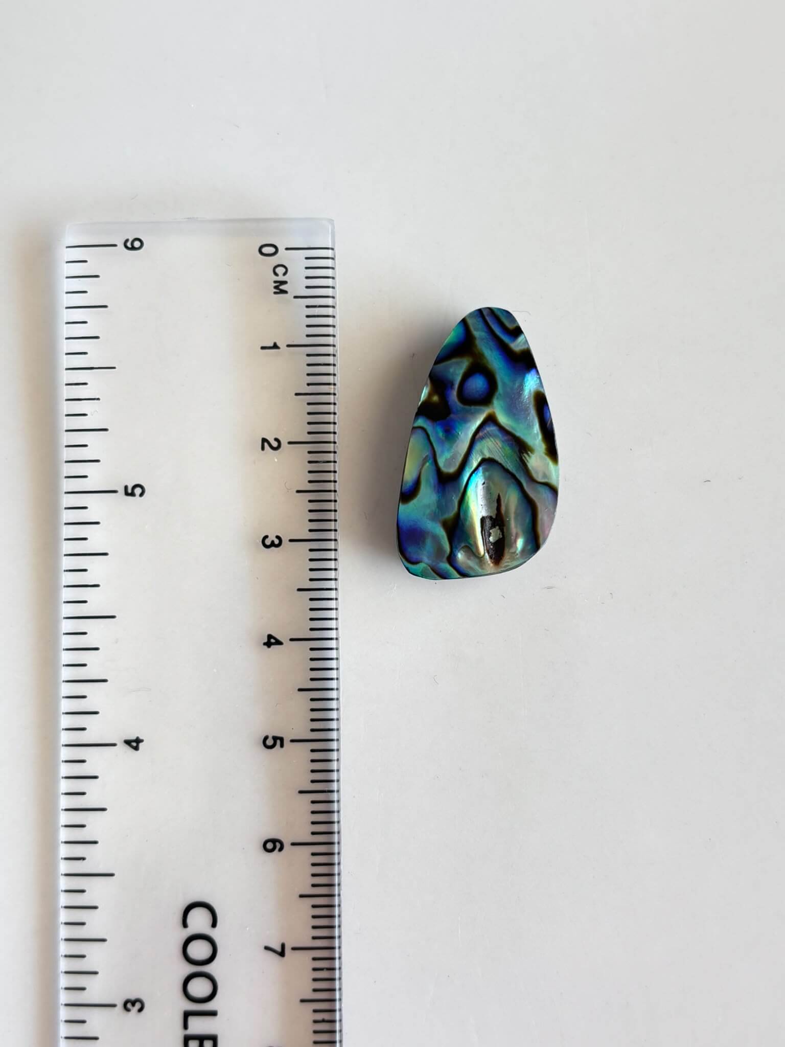 28mm Unique Abalone Shell Stone - Image 2