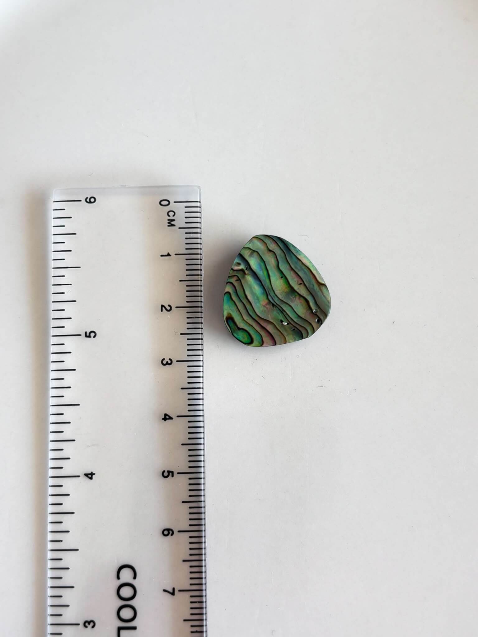 21mm Natural Abalone Cabochon for Jewelry - Image 2