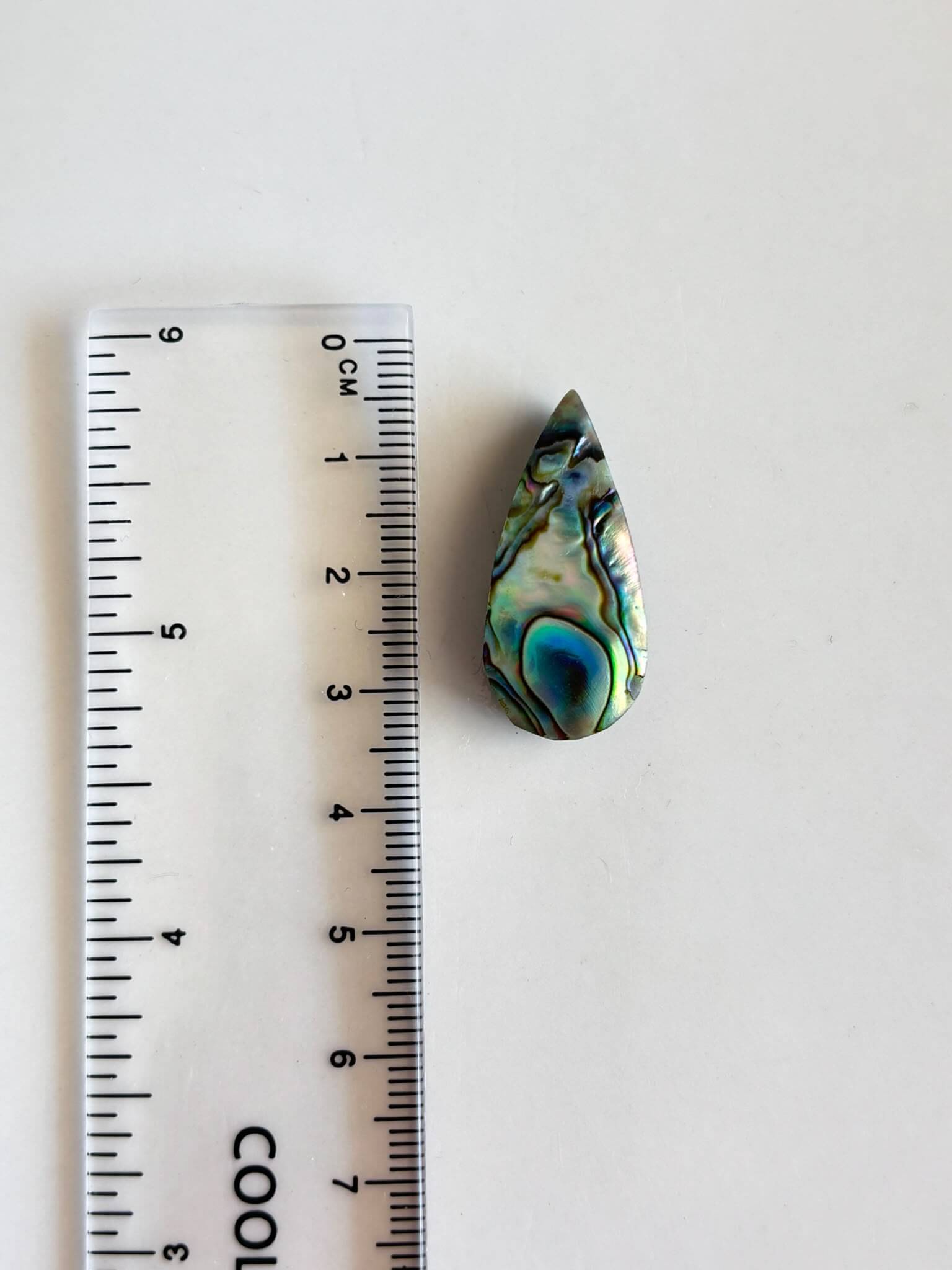 30mm Unique Abalone Shell Cabochon - Image 2