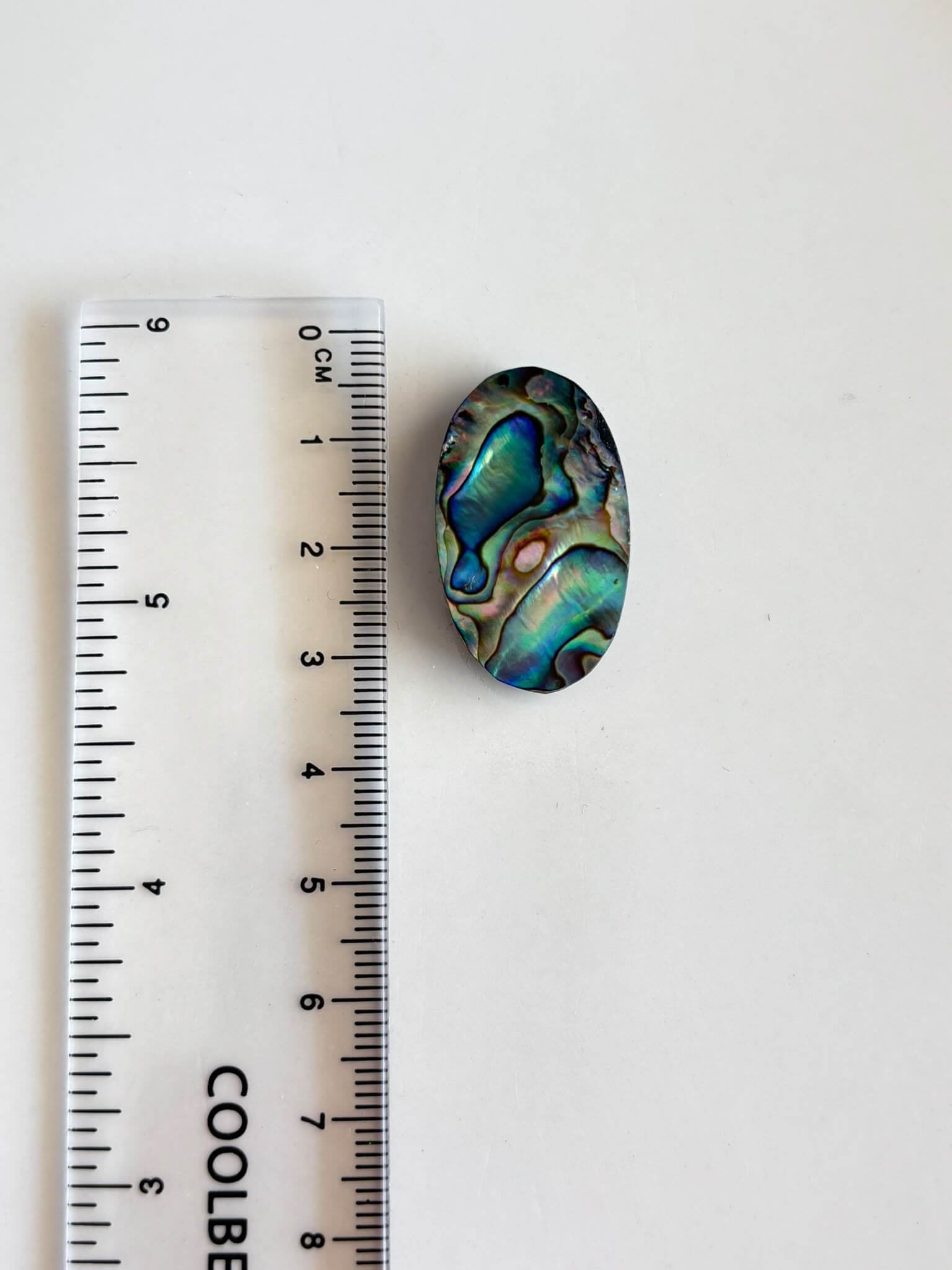 30mm Natural Abalone Cabochon for Jewelry - Image 2