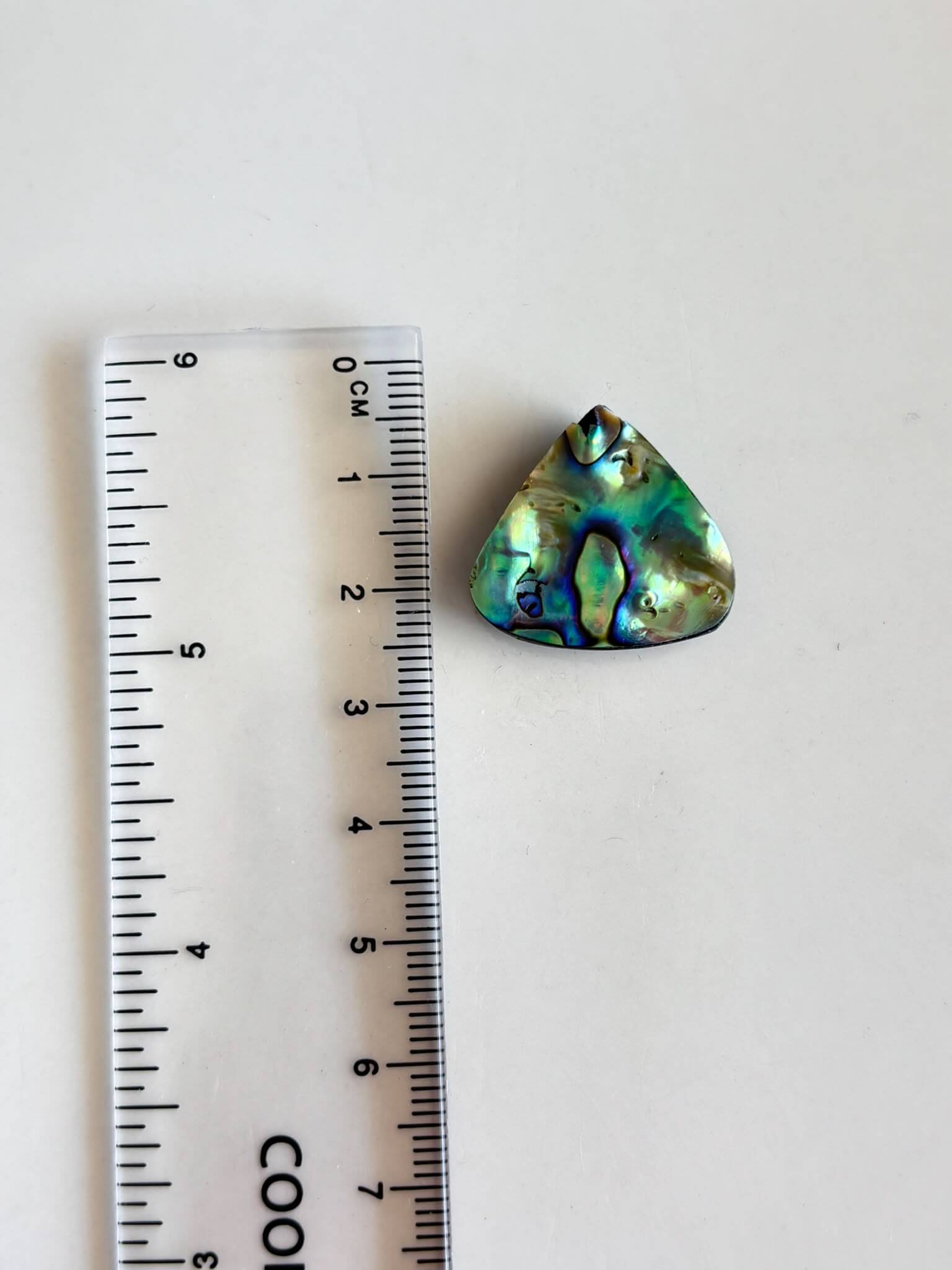22mm Unique Abalone Shell Cabochon - Image 2