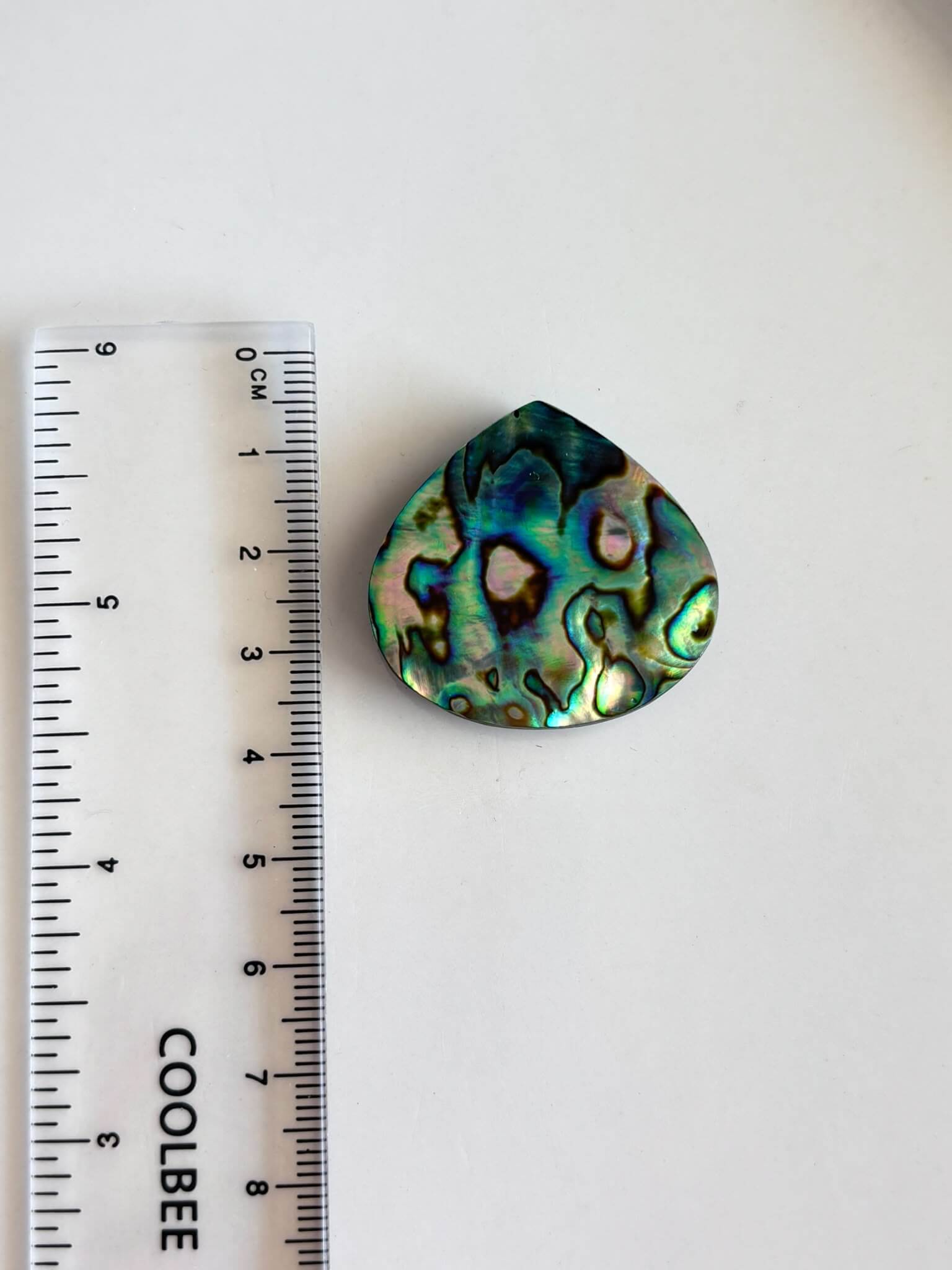 34mm Large Abalone Shell Cabochon - Image 2