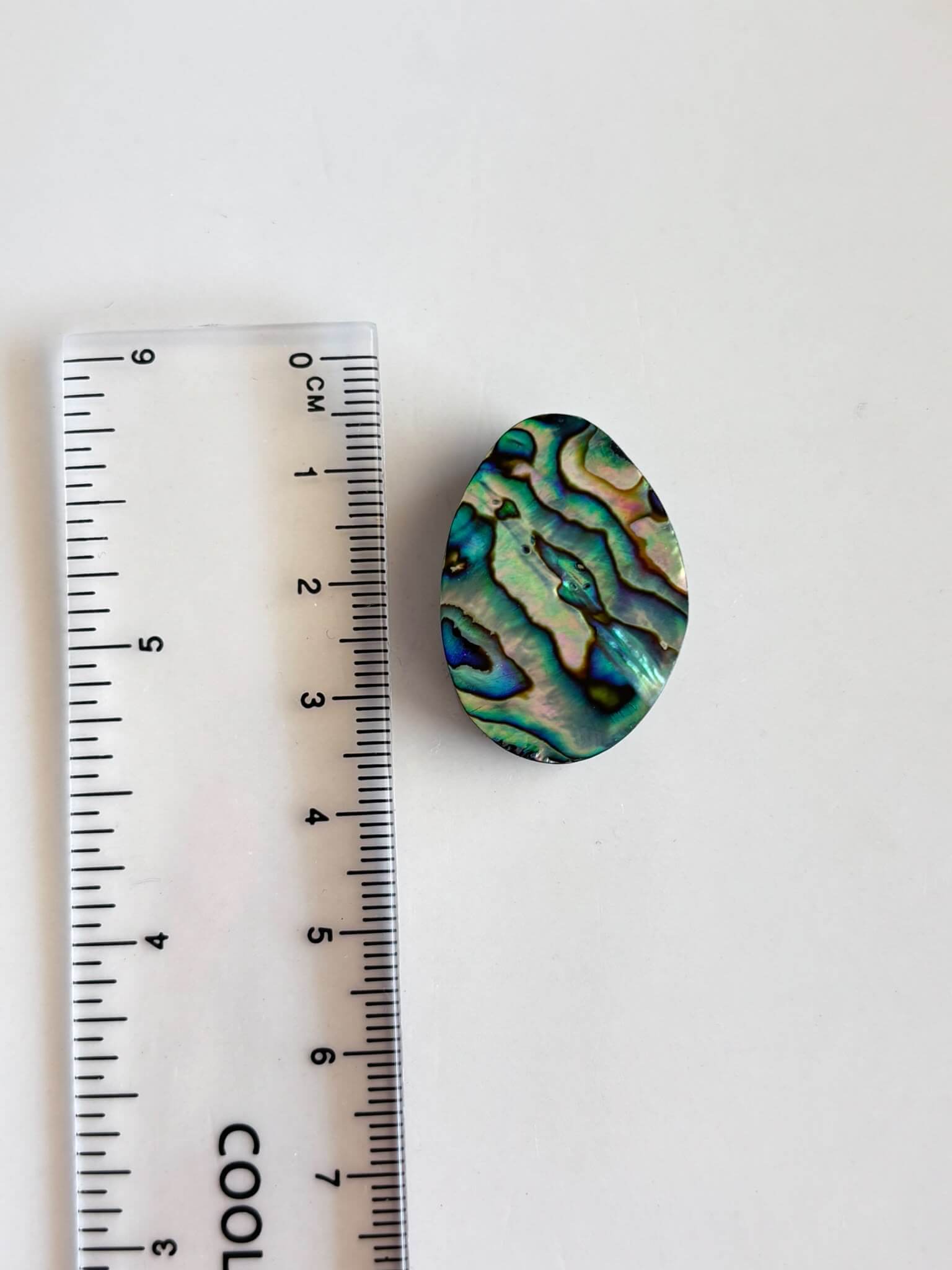 30mm Natural Abalone Shell Stone - Image 2