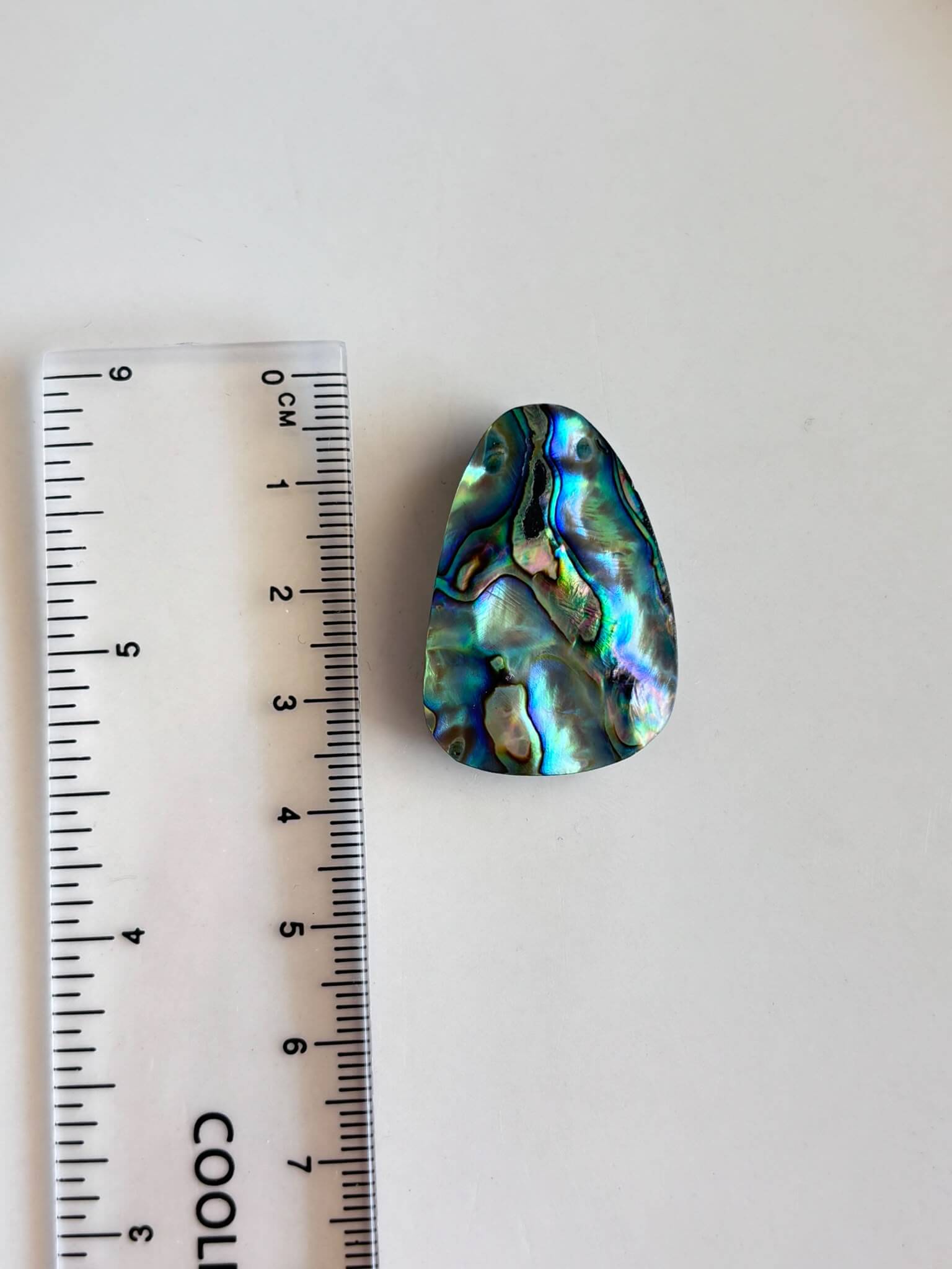 34mm Natural Abalone Shell Gemstone Cabochon - Image 2