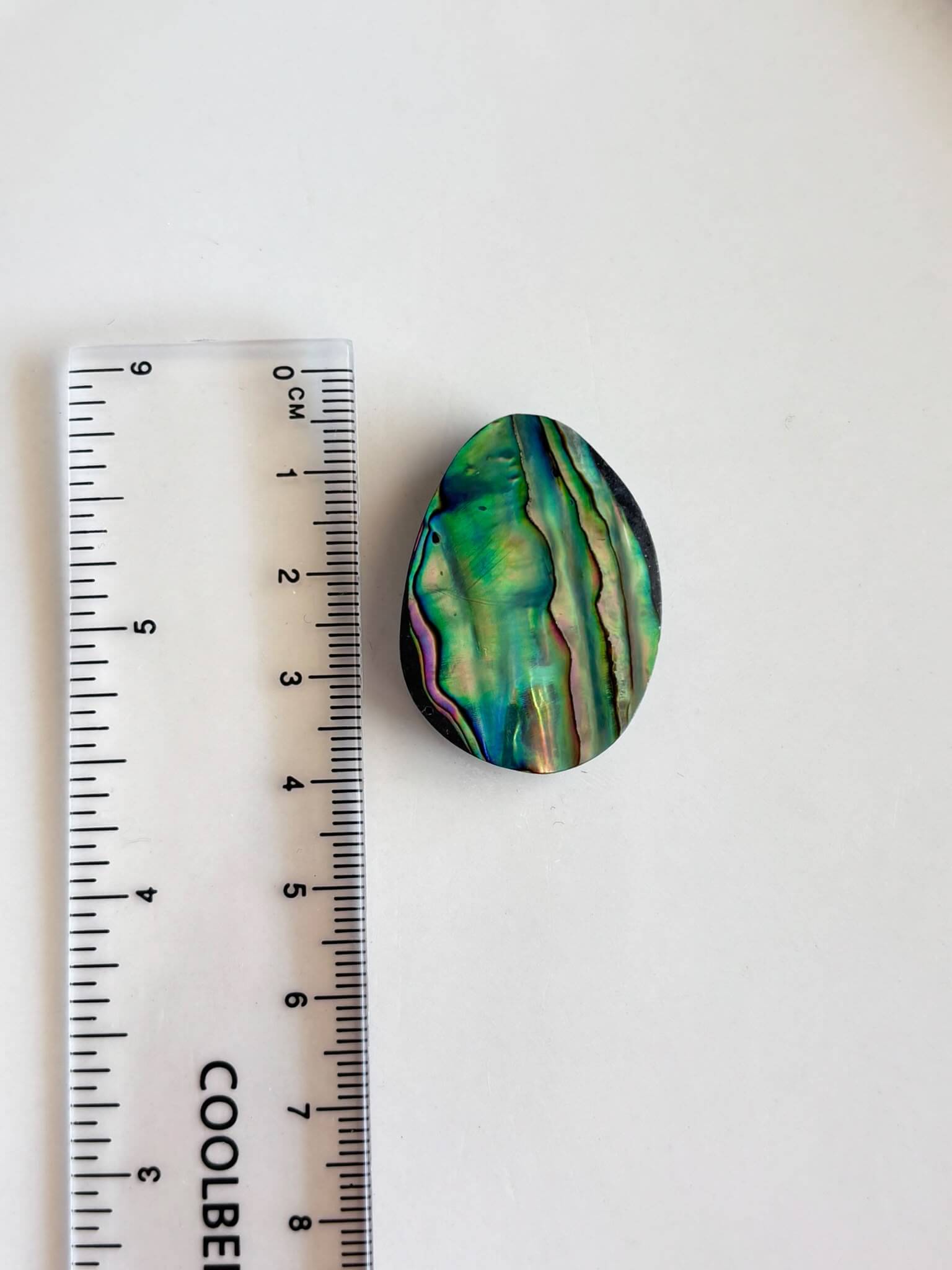 34mm Unique Abalone Shell Cabochon - Image 2