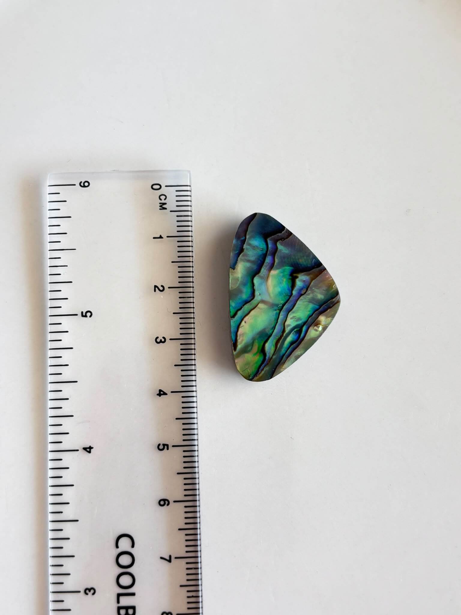 33mm Abalone Shell Cabochon – One of a Kind - Image 2
