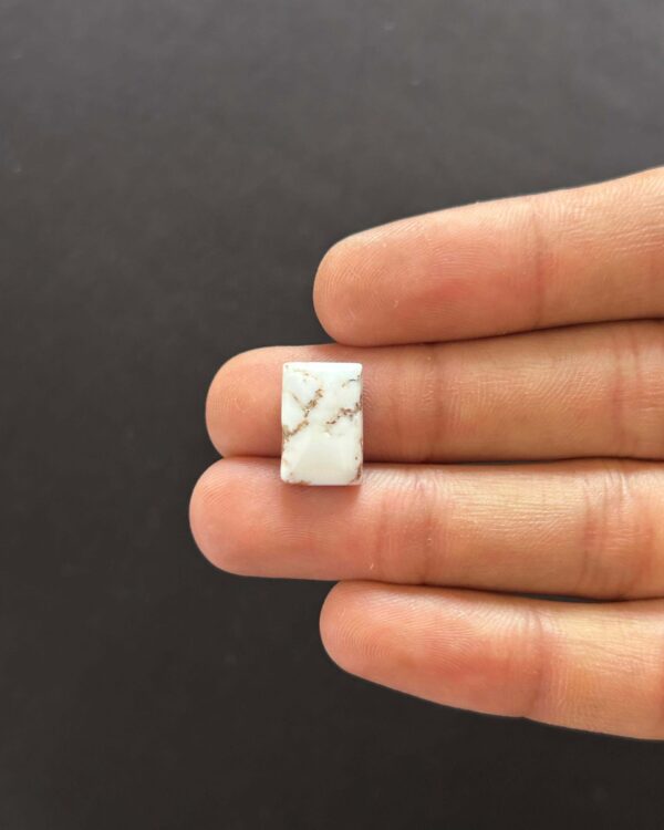 15mm Small Wild Horse Magnesite Gemstone
