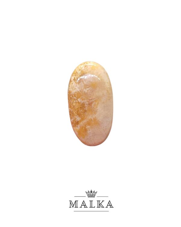 32mm Fossil Coral Natural Statement Stone