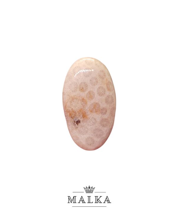 34mm Fossil Coral Natural Jewelry Gemstone