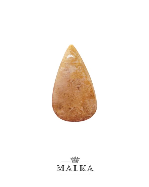 33mm Fossil Coral Jewelry Making Stone