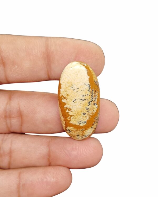 37mm Picture Jasper Cabochon – Oval Shape