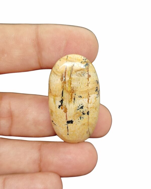 40mm Picture Jasper Cabochon – Oval Shape