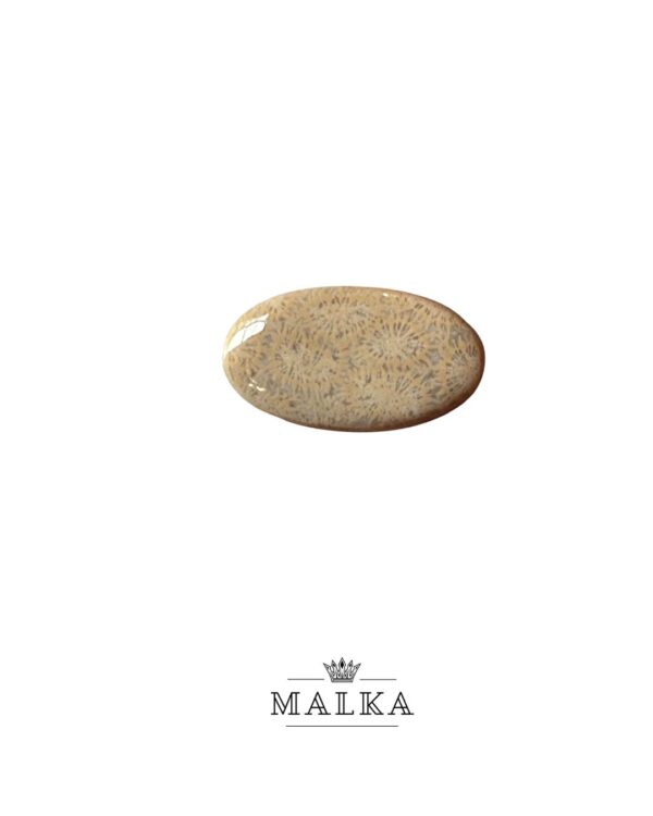 34mm Natural Fossil Coral Stone