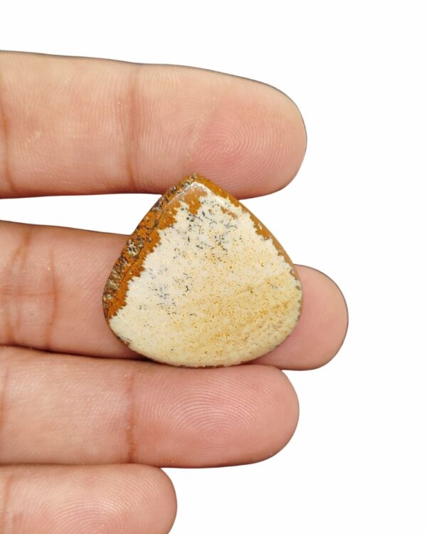 30mm Picture Jasper Cabochon – Drop Shape
