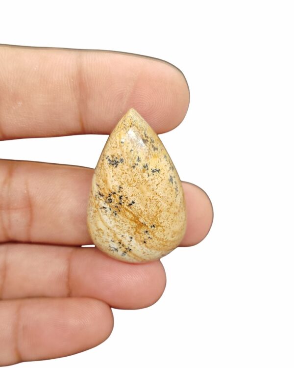37mm Picture Jasper Cabochon – Drop Shape