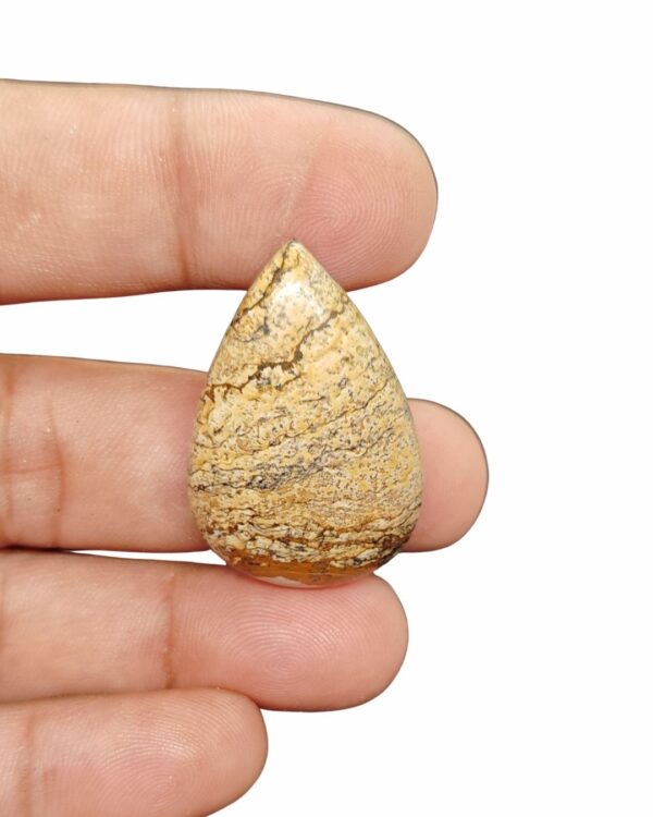37mm Picture Jasper Cabochon – Drop Shape