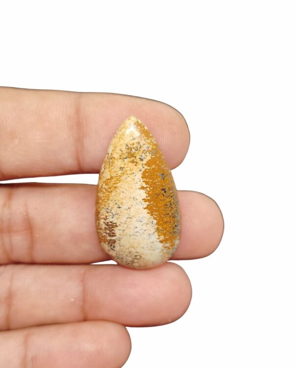 36mm Picture Jasper Cabochon – Drop Shape
