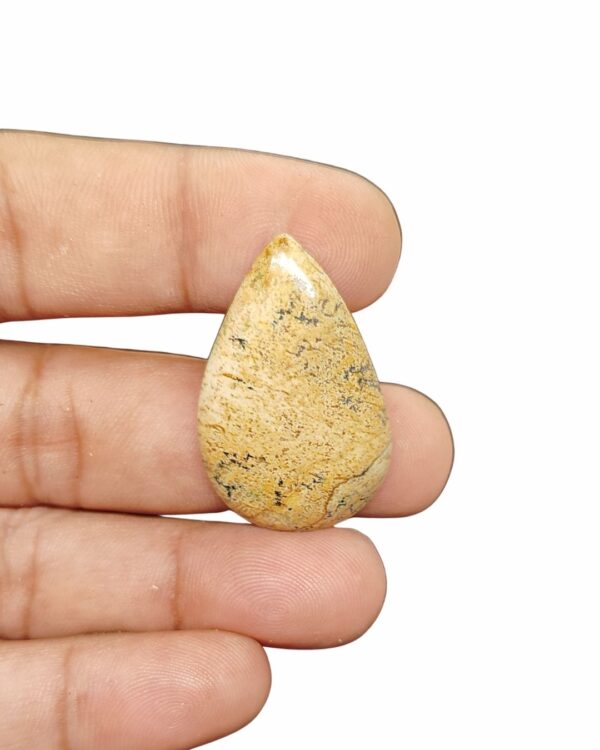 36mm Picture Jasper Cabochon – Drop Shape