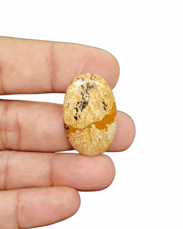 37mm Picture Jasper Cabochon – Oval Shape