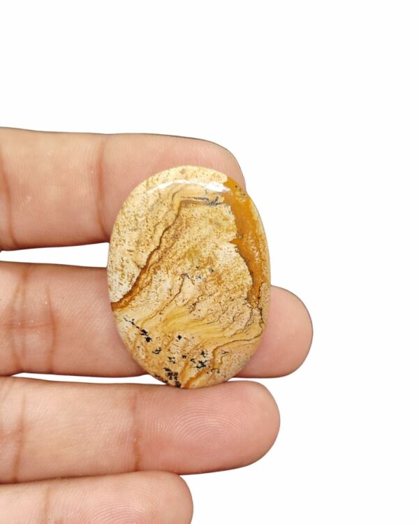 39mm Picture Jasper Cabochon – Oval Shape