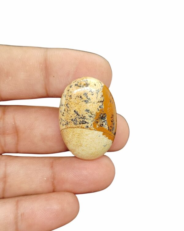 34mm Picture Jasper Cabochon – Oval Shape