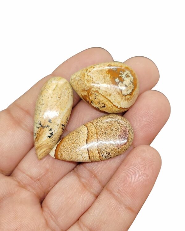 3 Picture Jasper Cabochon – 28-35mm Mix Stone